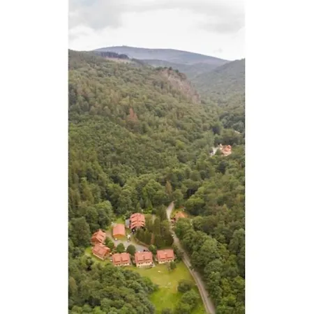 Holiday home Forsthaus Am Brocken, 40 Qm, 1 Schlafzimmer F8